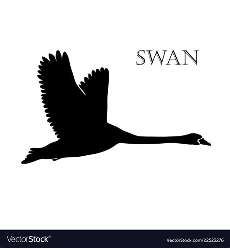 Black Swan Logo Silhouette Royalty Free Vector Image