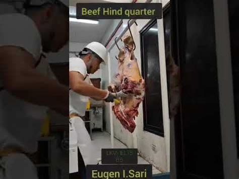 Beef Hind Quarter Breakdown Deboning Youtube