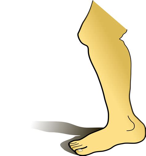 Leg Clipart Cartoon Leg Cartoon Transparent Free For Download On