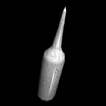 The trials have been extremely rushed & involved testing only small numbers. Vaccine - Official Pathologic Wiki