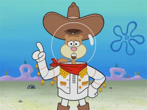 Spongebuddy Mania Spongebob Episode Rodeo Daze