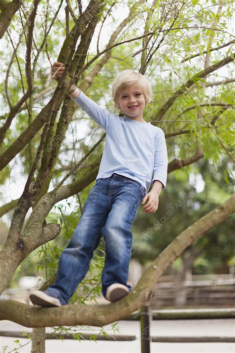 Smiling Boy Climbing Tree Stock Image F0049445 Science Photo Library