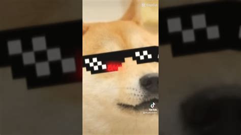 The Doge Youtube