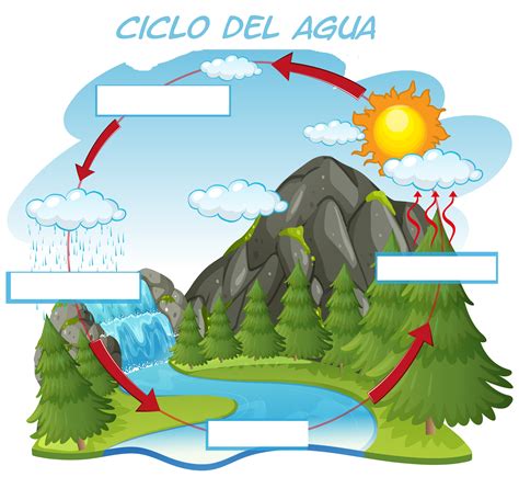 Lista Foto Ciclo Del Agua Para Colorear Y Sus Partes Lleno
