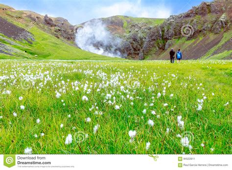 Beautiful Steam Valley Of The South Iceland Reykjadalur Valley