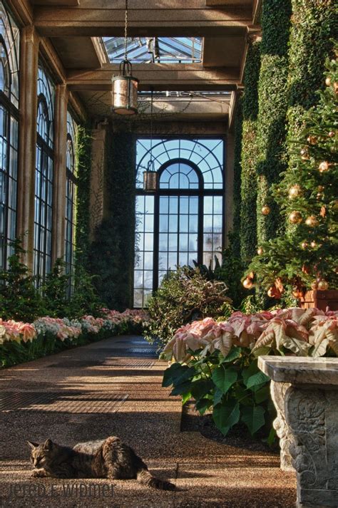 Longwood Gardens Kennett Square Pa Beautiful Places Glass House