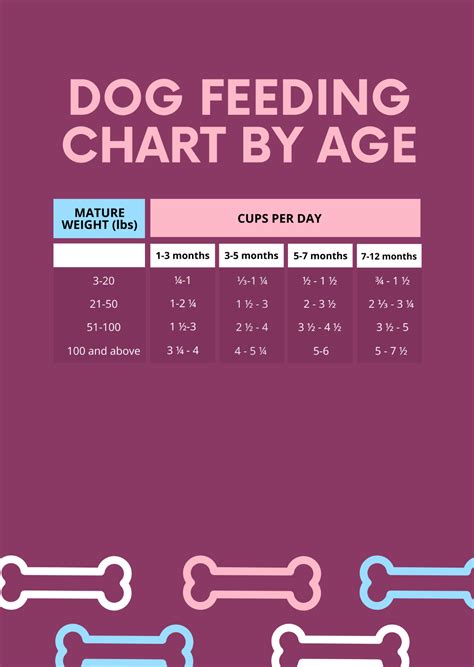 Dog Feeding Chart By Age Template Edit Online And Download Example