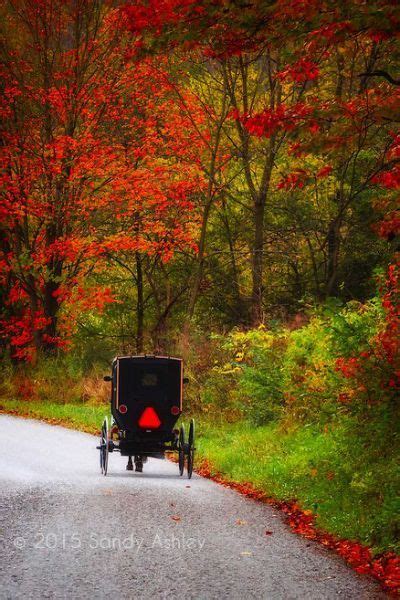 Country Road With Fall Foliage Amish Country Autumn Scenes Amish Farm