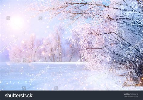 Beautiful Winter Landscape Scene Background Wit Stock