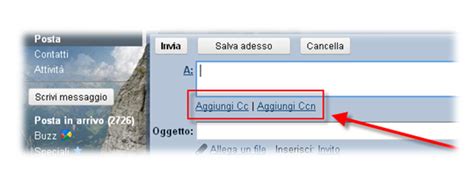 Devi mandare un messaggio di posta elettronica a più persone ma non vuoi che chi lo riceve veda il nome degli altri destinatari? Come scrivere un'e-mail: cosa scegliere tra A, Cc, Ccn, Bcc?