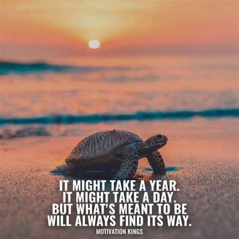 Here are 50 ancient quotes that reflect the wisdom of the great philosophers, scientists and other noble people throughout history that still apply today. What are the best one-line quotes on life? - Quora