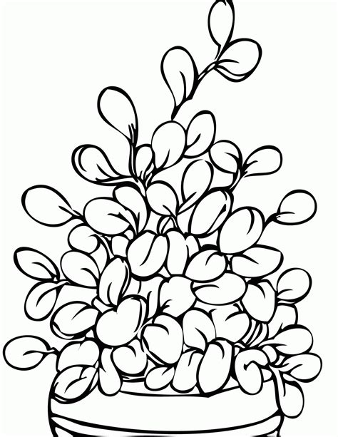 Plants Coloring Pages Printable - Coloring Home