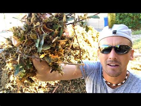 I am trying to obtain wood chips from a local saw mill in the hopes of saving some cash. I Use Wood Chips in My Backyard Garden - YouTube