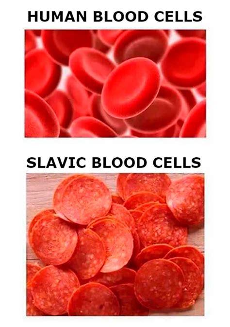 17 memes that will make you rethink slavic food russia beyond