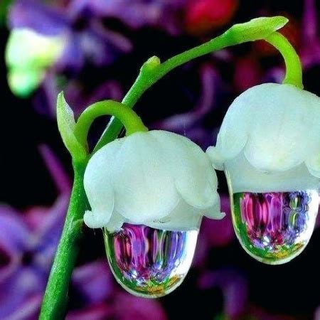Maybe you would like to learn more about one of these? Beautiful Heart Touching Whatsapp Dp Profile Images ...