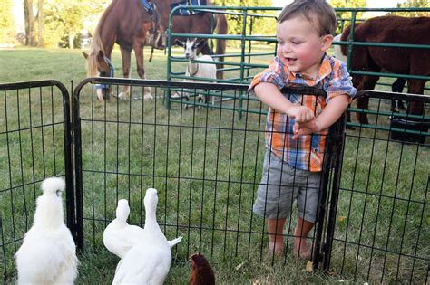 Petting Zoos And Pony Rides The Perfect Addition To Your Next Event