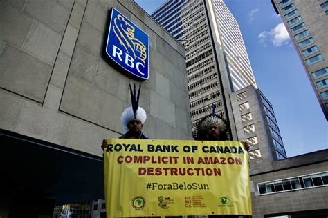 The Royal Bank Of Canadas Financing Of Canadian Gold Miner Belo Sun