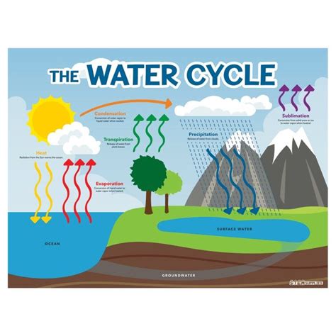 Water Cycle Poster Stem Supplies