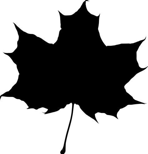 Maple Leaf Silhouette Transparent Png Stickpng