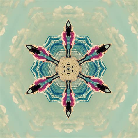 Try Kaleidoscope Maker And Turn Your Photo Into Mandala