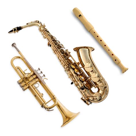 Lista 105 Foto Instrumentos Musicales De Viento De Madera Lleno 092023