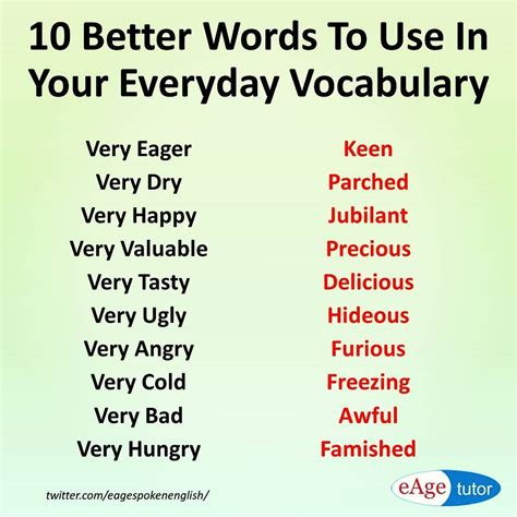 Learn These Everyday Vocabularies And Improve Your Communication Skills