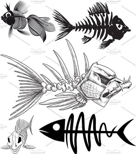 Skeleton Of Five Different Fish Fish Drawings Fish Art Skeleton