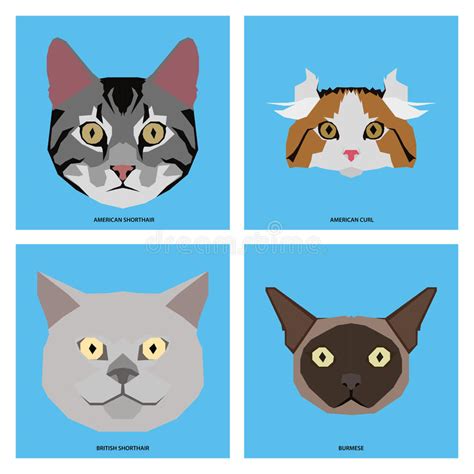 Set Of Cat Breeds Illustration Stock Illustration Illustration Of