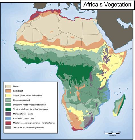 Six Million Years Of African Savanna All Images Nsf National