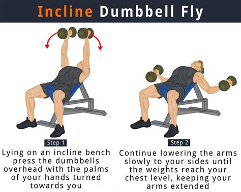 Incline Dumbbell Fly Do Daily Workout Dumbbell Fly Daily Workout