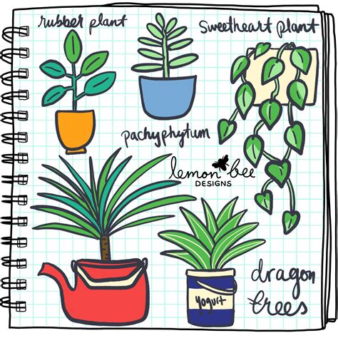 Page 2 Plant Doodle Rubber Plant Bee Design Learn To Draw Scribble