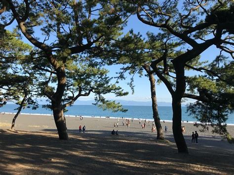 Miho Seacoast Miho No Matsubara Beach Shizuoka 2020 All You Need