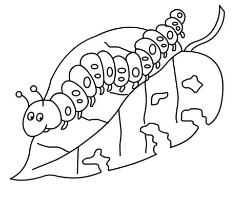 Or try this slightly different version. caterpillar eating a leaf coloring picture