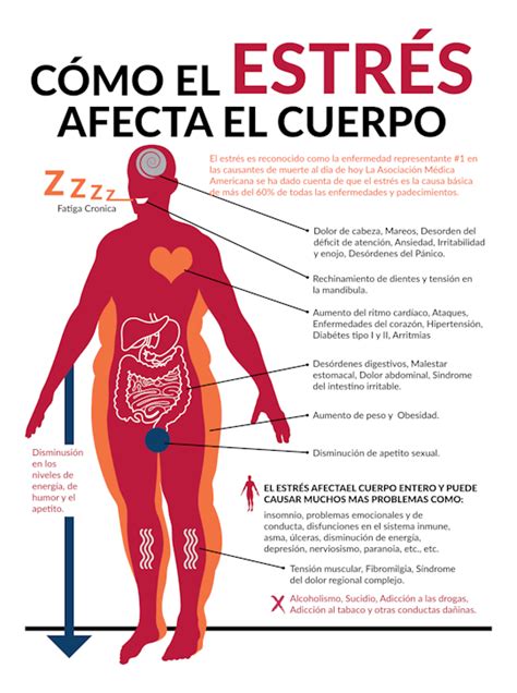 El Efecto Del Estrés Al Cuerpo 2 Of 5 Ap® Spanish Language Practice Albert