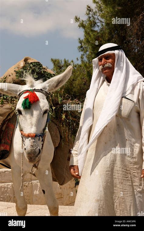 Jerusalem Donkey Hi Res Stock Photography And Images Alamy