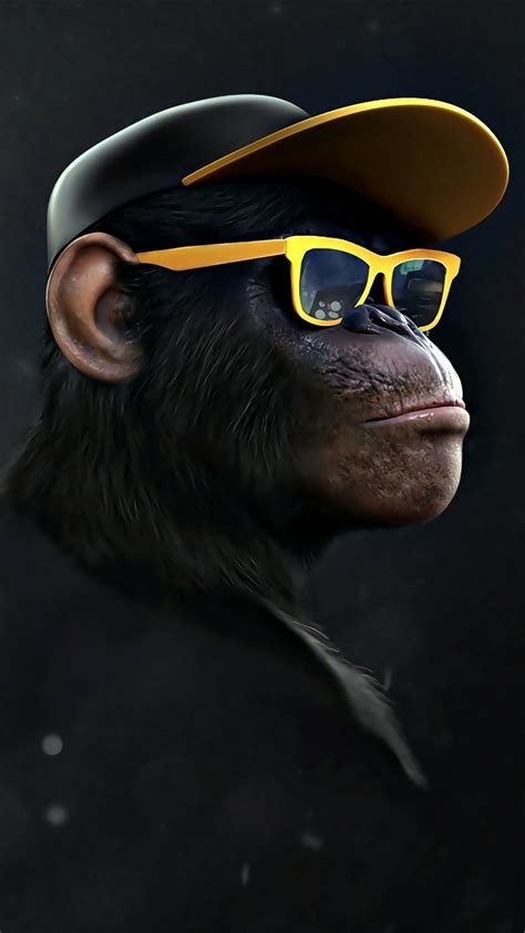 Cool Monkey Wallpapers Top Free Cool Monkey Backgrounds Wallpaperaccess