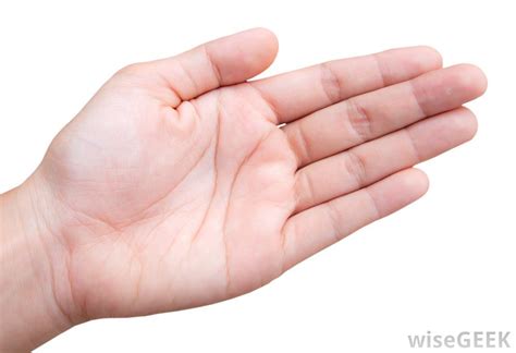 The meaning and symbolism of the word - Hand