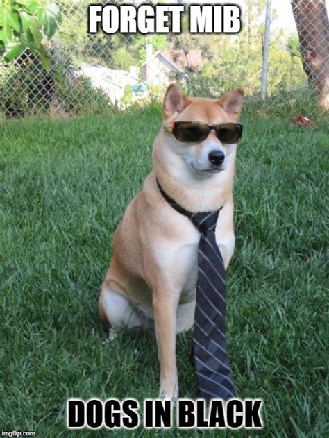 Business Doge Imgflip