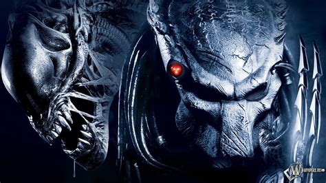 67 Alien Vs Predator Wallpaper