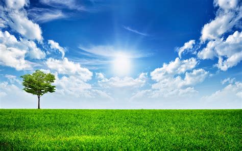 Jadi jangan lupa bookmark ya guys. Share for Care: Gambar Wallpaper Keren buat Desktop Laptop ...