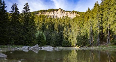 Lake With Clear Water And Stone Shore In Spruce Forest With Fir Trees