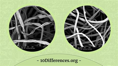 Natural Vs Synthetic Fibers Under A Microscope