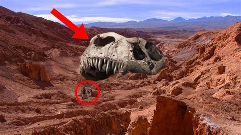 10 Biggest Dinosaurs That Ever Lived Youtube