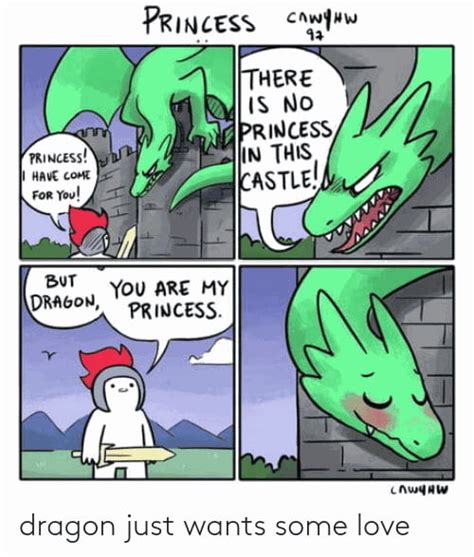The Princess Is The Dragon 9gag