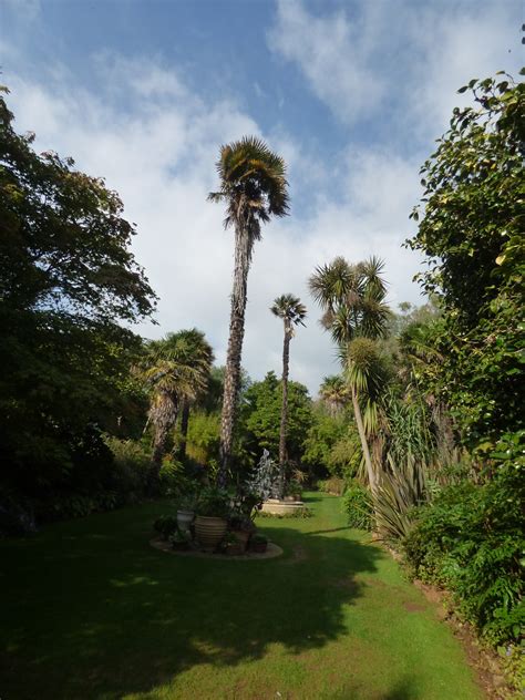 Abbotsbury Subtropical Gardens Fern Garden A Visit To Ab Flickr