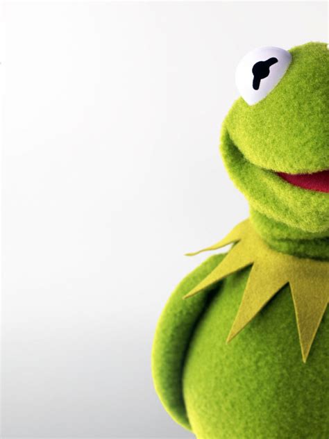 Jun 14, 2019 · your child must have watched sesame street and other muppet movies; Free download muppets kermit frog desktop wallpaper ...