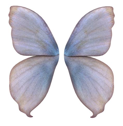Realistic Fairy Wings Png Image Transparent Background Png Arts Images