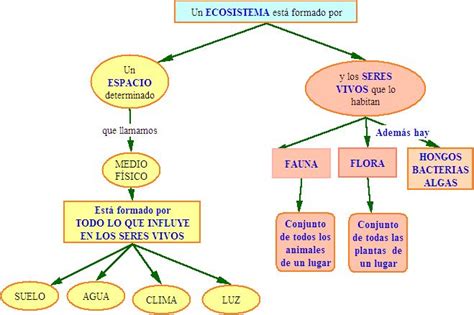 Los esquemas son organizadores de la información de un texto que nos permiten captar sus ideas más importantes de un texto y disponerla de manera que a la vista podamos llegar a la síntesis y comprensión de lo que. Qué es un ecosistema: Ejemplos, tipos y características de ...