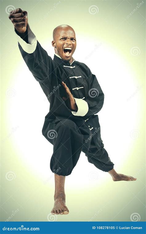 Kung Fu African Stock Image Image Of Expression Person 108278105
