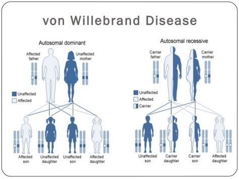 Von Willebrand Disease Hemophilia Treatment Center Ecu